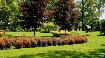 Aranżacja ogrodów - jak powinna przebiegać i na jakich elementach warto się skupić?