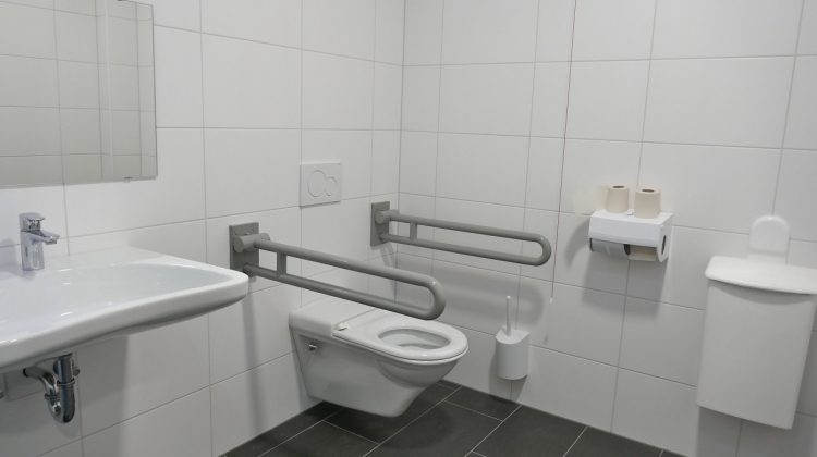Organizacja toalet publicznych dla osób niepełnosprawnych